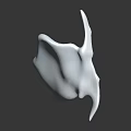 Anatomical Organ And Hair Structure Model With White Textured Surface Detail Design