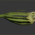 Fresh Green Okra Vegetable on Black Background with Reflection and Healthy Look