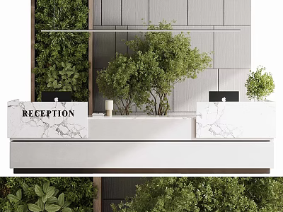 Modern Elegant Reception Desk With Marble Countertop Green Plants And Hanging Greenery 3d model