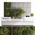 Modern Elegant Reception Desk With Marble Countertop Green Plants And Hanging Greenery