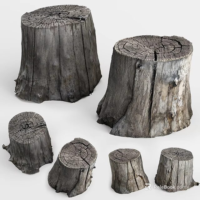 Natural Wooden Tree Stumps With Various Sizes Detailed Growth Rings And Textures 3d model 