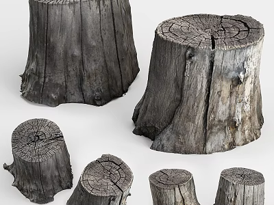 Natural Wooden Tree Stumps With Various Sizes Detailed Growth Rings And Textures 3d model