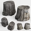 Natural Wooden Tree Stumps With Various Sizes Detailed Growth Rings And Textures