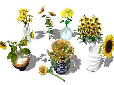 Fresh Colorful Sunflowers and Yellow Flowers in Different Decorative Vases 3d model