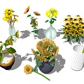 Fresh Colorful Sunflowers and Yellow Flowers in Different Decorative Vases