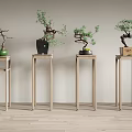Minimalist Wooden Plant Stands Showcasing Bonsai Plants In Modern Home Interior