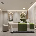 Soft Modern Aesthetic Beauty Salon Treatment Room With Cozy Spa Bed And Fresh Green Decoration