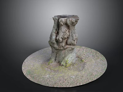 Tree Stump Decorative Base In Natural Outdoor Scene With Circular Moss Covered Surface 3d model