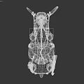 Mythical Creature Model With Long Tusk Mane And Textured Saddle Like Body
