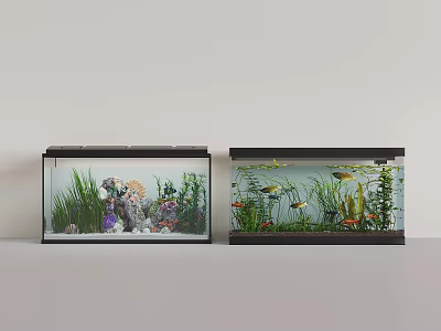 Two Glass Aquariums with Colorful Aquatic Plants Corals and Swimming Fish 3d model