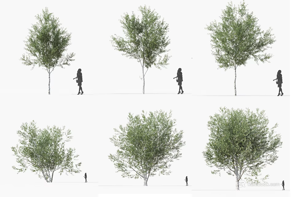 Various Arbor Trees With Lush Green Foliage And Human Figures For Size Reference 3d model
