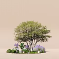 Garden Plant Combination With Tree Purple Flowers Green Foliage And Stones