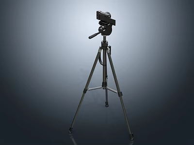 Professional Digital Camera Mounted On Lightweight Tripod For Photography Enthusiasts 3d model