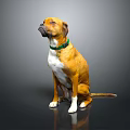 Brown and yellow dog sitting with green collar on gray background pet portrait