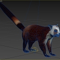 Red White Squirrel Flying Fox Pine Cat White Face Squirrel White Head Flying Squirrel White Head Flying Squirrel Flying Squirrel Squirrel Squirrel Squirrel Squirrel Squirrel Squirrel Squirrel Squirrel Squirrel Squirrel Squirrel Squirrel Squirrel Squirrel  3d model