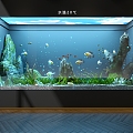 ecological tank aquarium 3d model