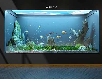 Aquarium Fish Tank With 20℃ Water Temperature Aquatic Plants And Rocks 3d model