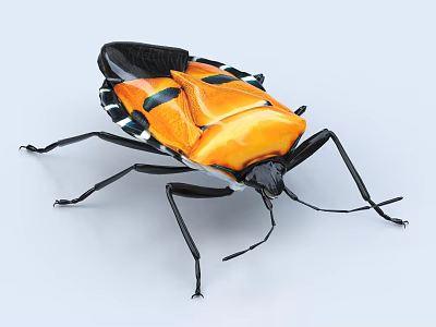 Vibrant Orange And Black Insect With Shiny Exoskeleton And Black Legs 3d model