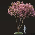 Beautiful Arbor Featuring Pink Blossoms And White Statue On Green Lawn Area