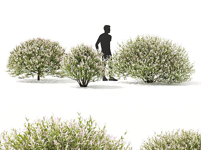 Leafy Green Bushes With Pink Flowers In Garden Landscape With Person Standing Nearby 3d model