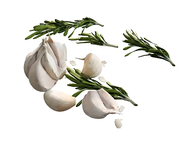 Fresh Garlic Bulbs and Green Rosemary Sprigs for Organic Cooking Ingredients 3d model