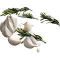 Fresh Garlic Bulbs and Green Rosemary Sprigs for Organic Cooking Ingredients