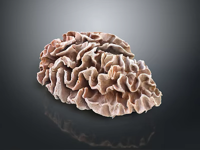 Aquatic Animal With Brown Ruffled Surface In Marine Underwater Environment 3d model