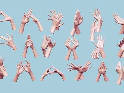 Woman's Hands Displaying Diverse Gestures Against Light Blue Background 3d model