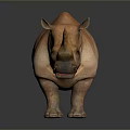 Reddish Brown Rhinoceros Standing With Two Horns On Gray Background And Reflection 3d model