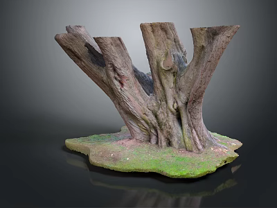 Natural Wood Tree Stump And Stone Base Decorative Art With Textured Design 3d model