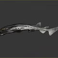 3D Rendered Striped Fish Model With Realistic Texture On Gray Background