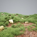 Modern Grassland Shrubs Grass Green Plant Shrubs 3d model