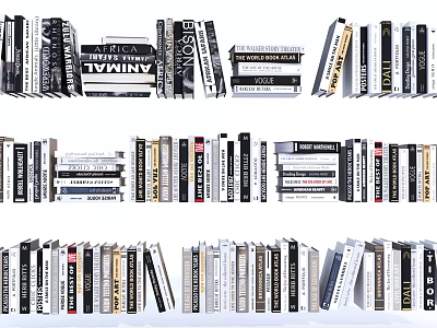 Collection Of Stacked Books And Magazines With Various Colors And Sizes 3d model