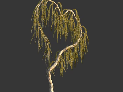 Heart Shaped Branch Tree With Hanging Green Leaves On Dark Background 3d model