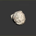 Detailed White Classical Marble Bust Sculpture With Curly Hair And Base