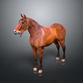 Realistic Brown Standing Horse On Dark Background With Clear Reflection 3d model