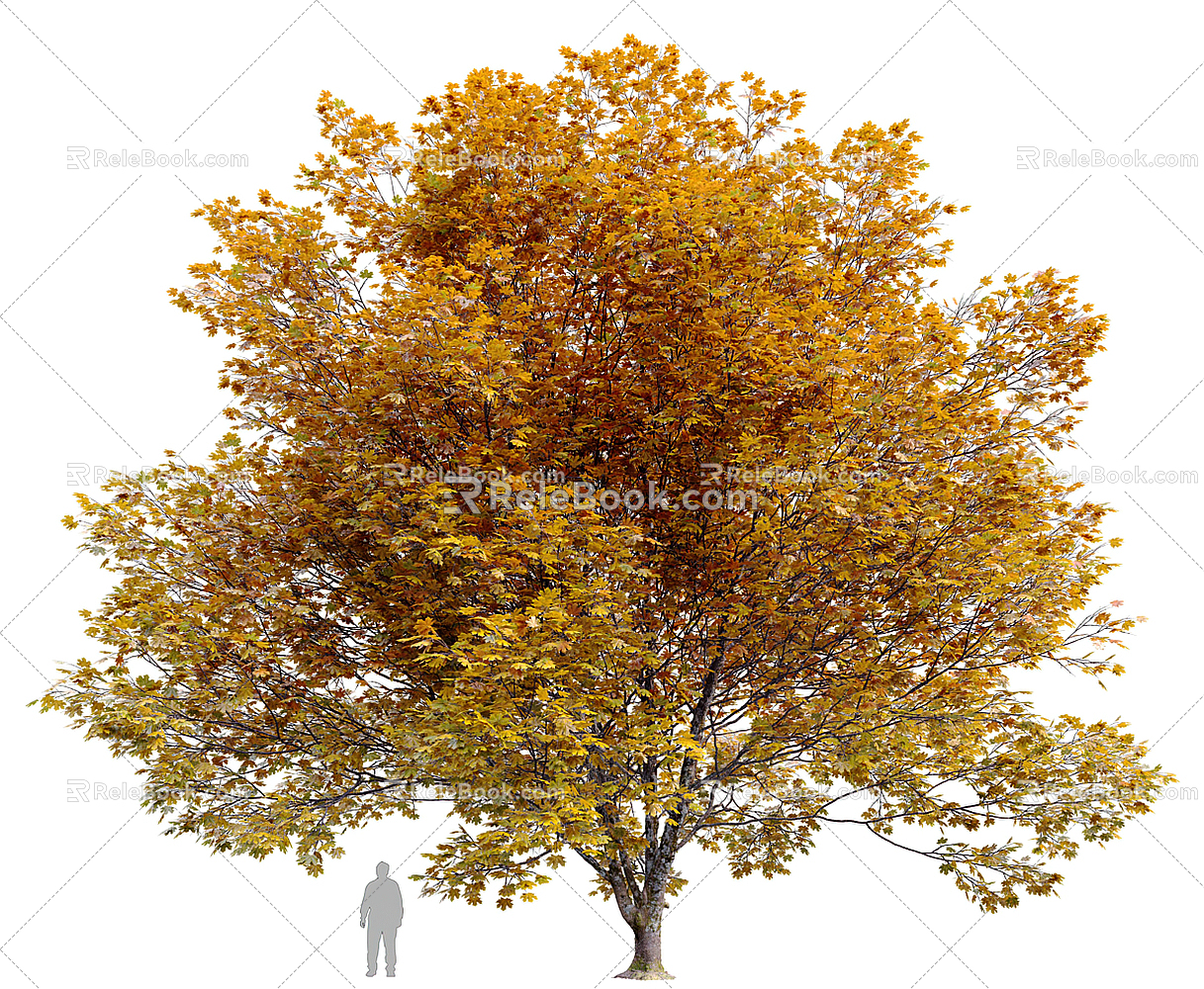 Autumn Tree Tree Tree Landscape Tree 3d model