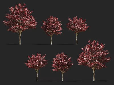 Red Leaf Arbor Collection Featuring Various Forms Against Dark Background 3d model