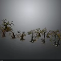 Small Potted Plants With Diverse Leaf Shapes And Colors For Indoor Decor