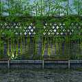 Building Exterior Wall With Lush Bamboo Trees Hollowed Cross Design Stone Pavement And Wooden Benches