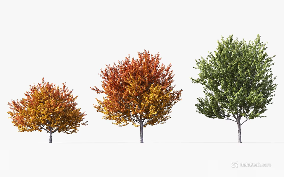 Three Arbor Trees With Orange Yellow Red And Green Foliage In Row 3d model 