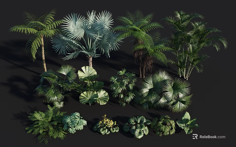 Various Tropical Flowers and Plants with Ferns Palm Trees and Large Green Leaves 3d model 