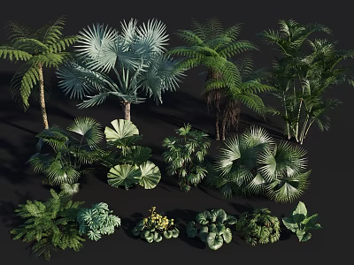 Various Tropical Flowers and Plants with Ferns Palm Trees and Large Green Leaves 3d model