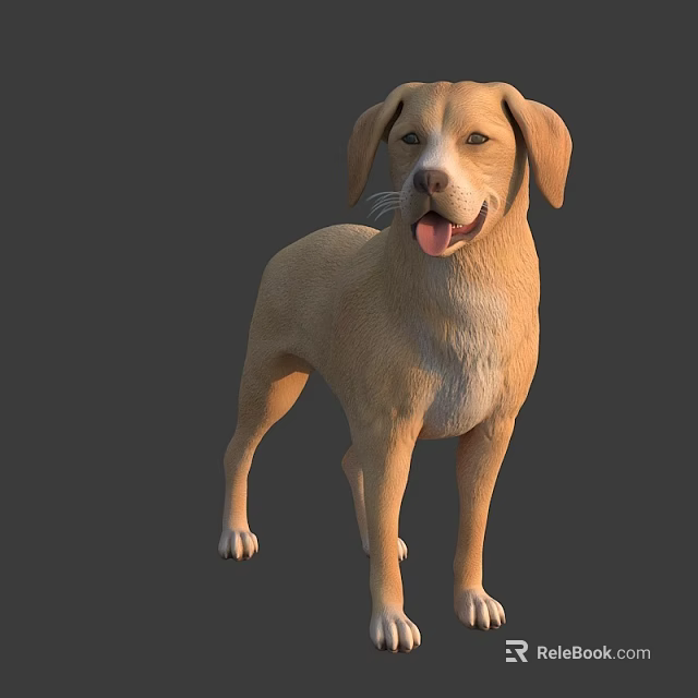 Light Brown Dog Standing With Friendly Expression Tongue Out On Gray Background 3d model 