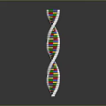 Colorful DNA Helix Model Toy With Plastic Building Segments For Education
