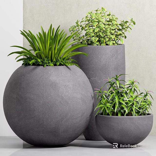 Modern Gray Concrete Potted Plants With Green Foliage And Various Shapes 3d model 