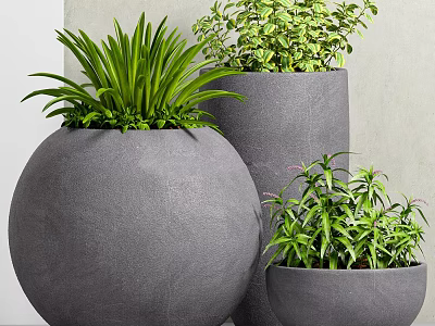 Modern Gray Concrete Potted Plants With Green Foliage And Various Shapes 3d model