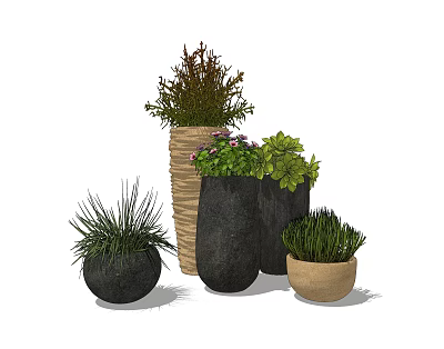 Bonsai Potted Plants In Various Planters With Lush Green Foliage And Flowers 3d model