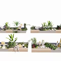 Indoor Landscape Design With Various Green Plants Decorative Sculptures And Lighting