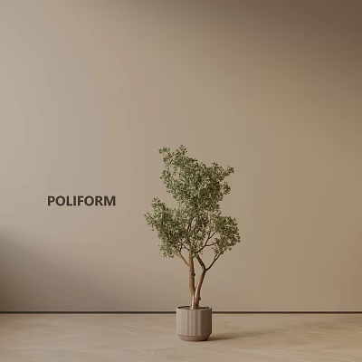 Bonsai Plant with Leafy Green Foliage in Potted Modern Indoor Decor Beige Wall Background 3d model